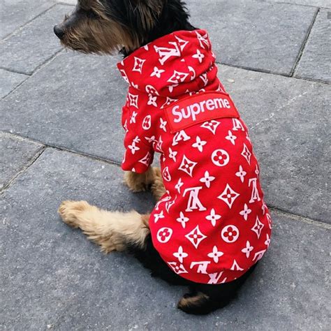 louis vuitton supreme dog bed|Louis Vuitton dog jacket.